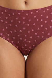 Zivame Medium Rise Full Coverage Hipster Panty (Pack of 3) - Multicolor — thumbnail 5
